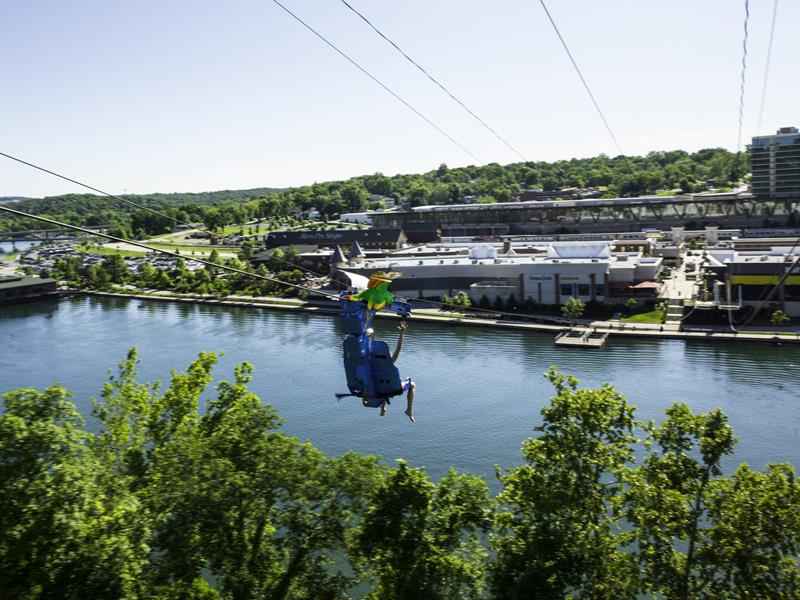 Parakeet Pete's Zipline