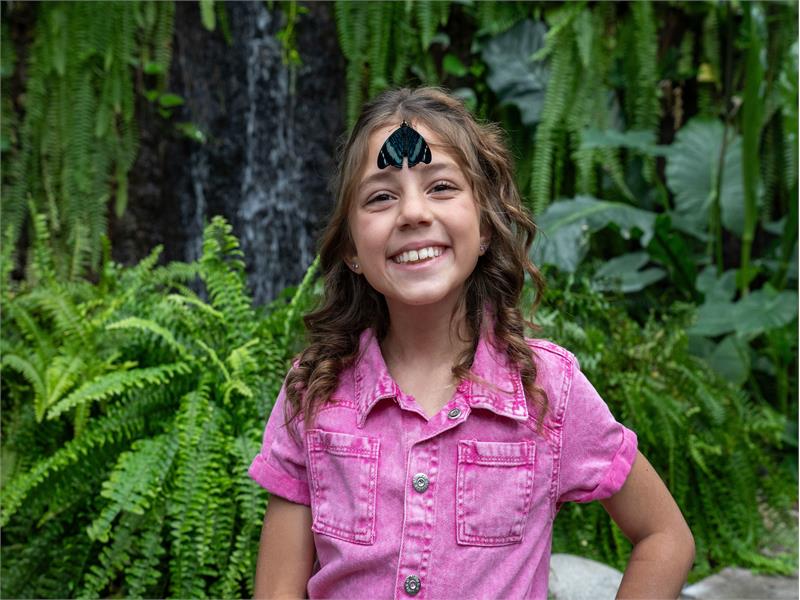 Butterfly Palace & Rainforest Adventure